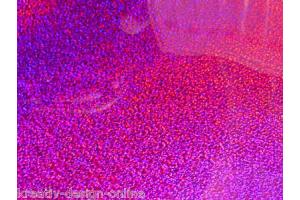 Hotfix Buegelfolie Hologramm lila  10cm x 15cm